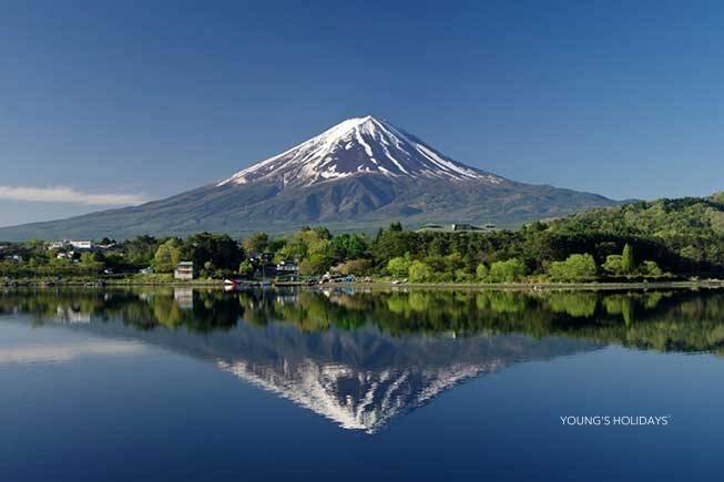 【東京出發】富士山五合目、忍野八海、河口湖石公園、任摘任食時令水果一天遊