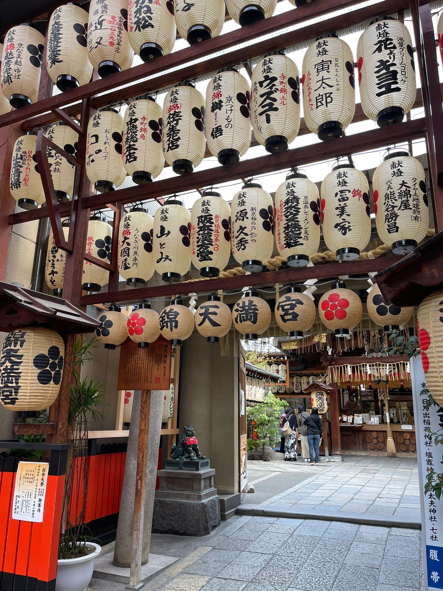 【私人包車】大阪10小時市內/神戶/奈良賞櫻、摘水果客制化行程中文司機包車一日遊(7/10人車)