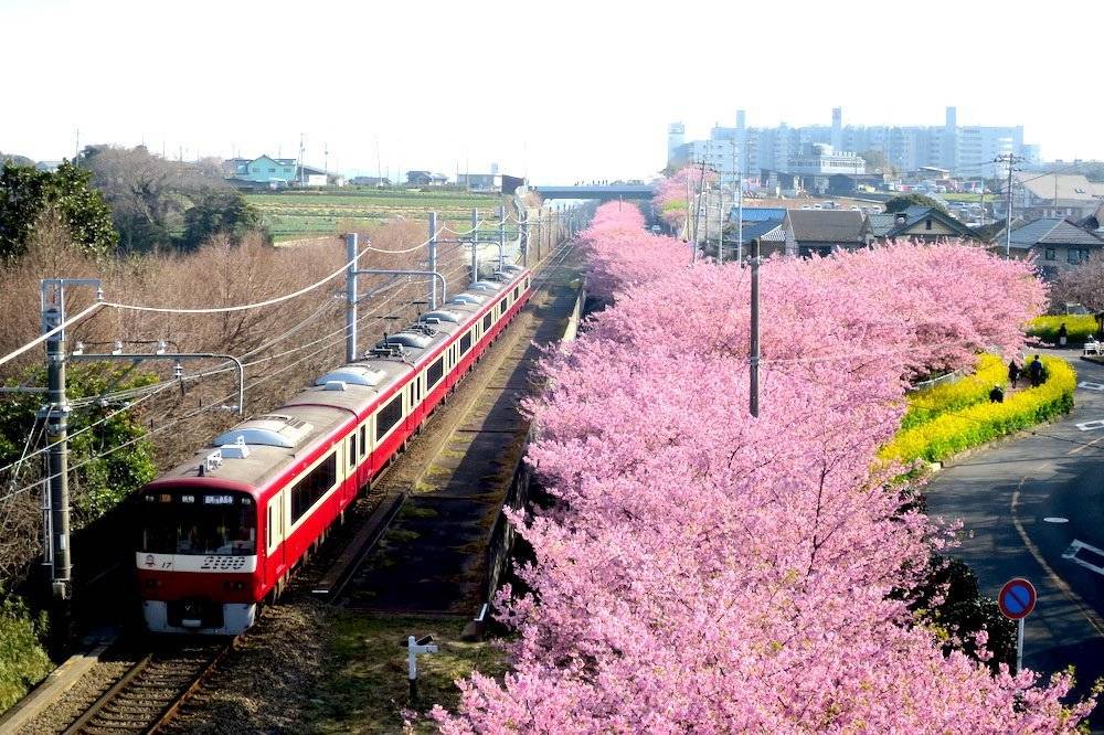 【北海道】六人日本露營車24小時租用體驗(JSM-Breeze)