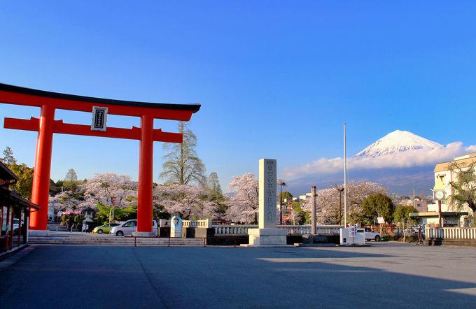 【醉倒富士山酒鄉】山梨葡萄酒園、富士山美景、 懷石料理溫泉5天深度遊