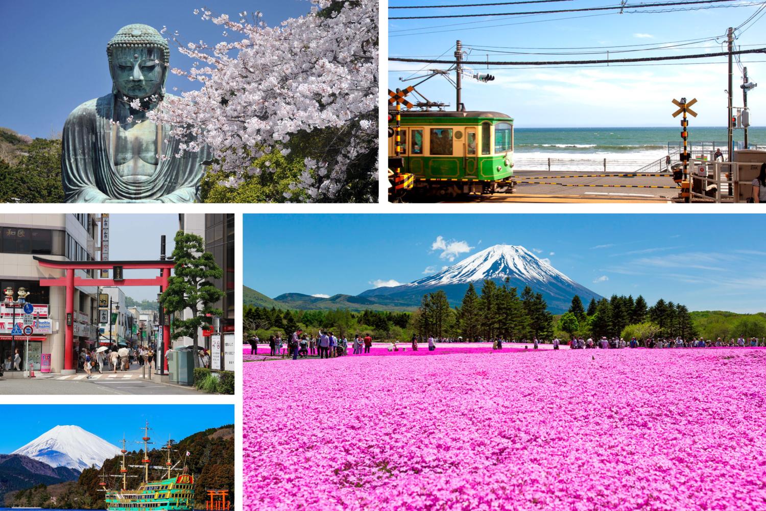 【私人包車】東京10小時市內/富士山/鐮倉/輕井澤/日光客制化行程中文司機包車一日遊(7/10人車)