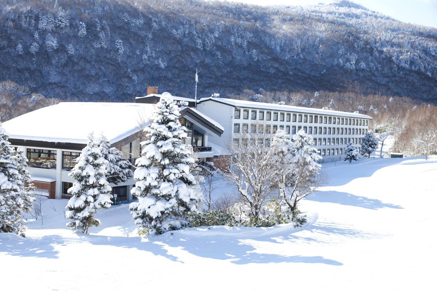 【長野】志賀高原王子大飯店 （東館）日本滑雪自由行套票