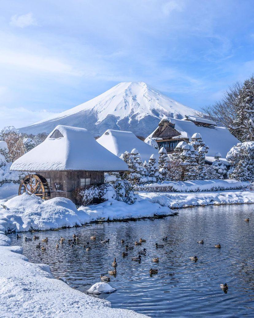 【醉倒富士山酒鄉】山梨葡萄酒園、富士山美景、 懷石料理溫泉5天深度遊