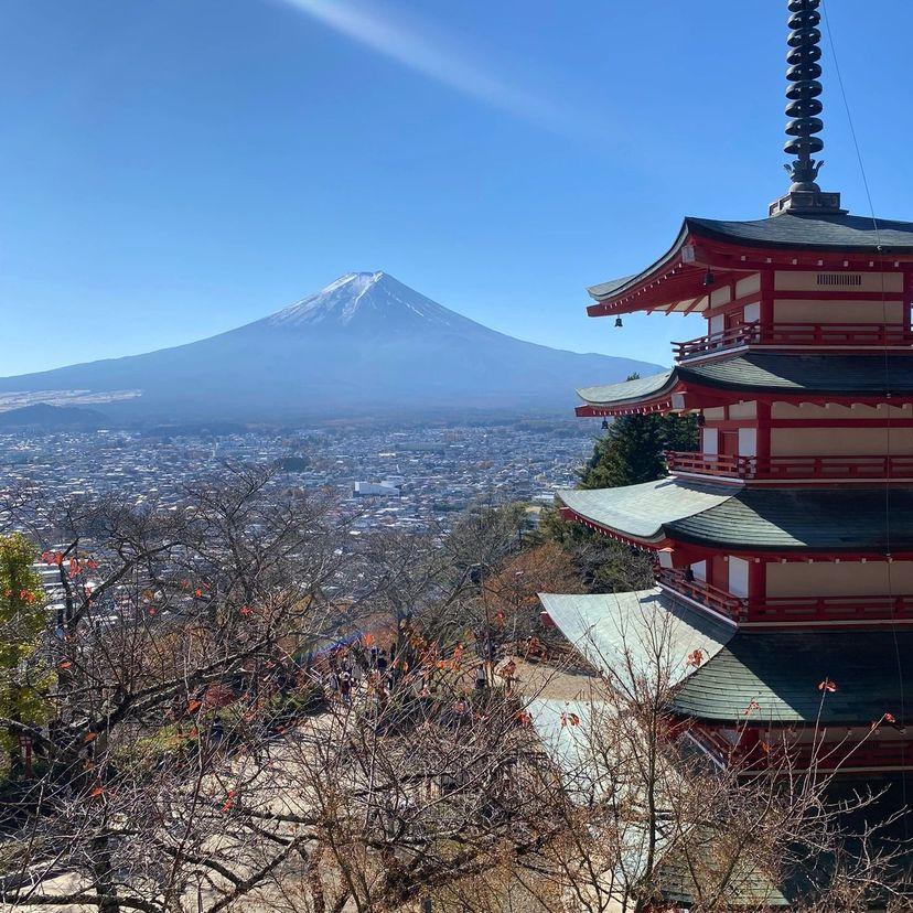 【醉倒富士山酒鄉】山梨葡萄酒園、富士山美景、 懷石料理溫泉5天深度遊