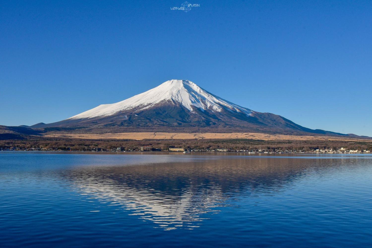 【私人包車】東京10小時市內/富士山/鐮倉/輕井澤/日光客制化行程中文司機包車一日遊(7/10人車)