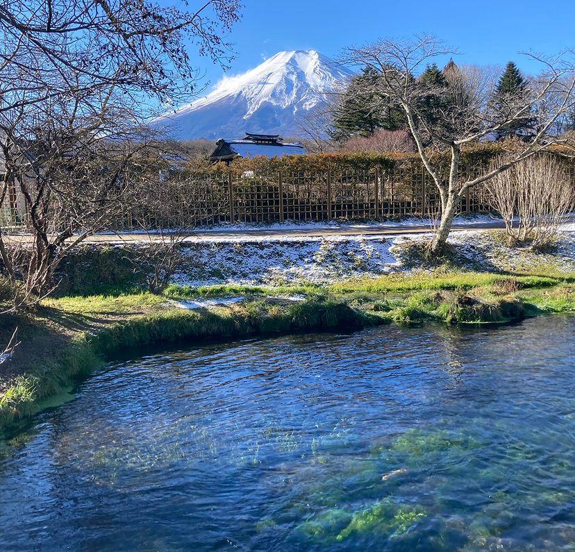 【醉倒富士山酒鄉】山梨葡萄酒園、富士山美景、 懷石料理溫泉5天深度遊