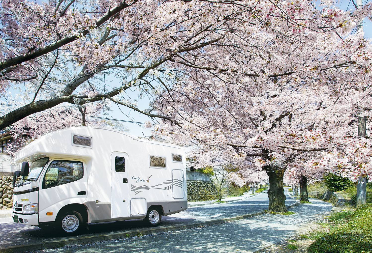 【東京成田】五人日本露營車24小時租用體驗(V-Corde Bunks S)