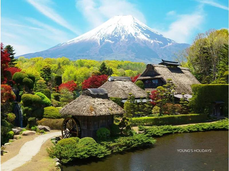 【東京出發】富士山五合目、忍野八海、河口湖石公園、任摘任食時令水果一天遊