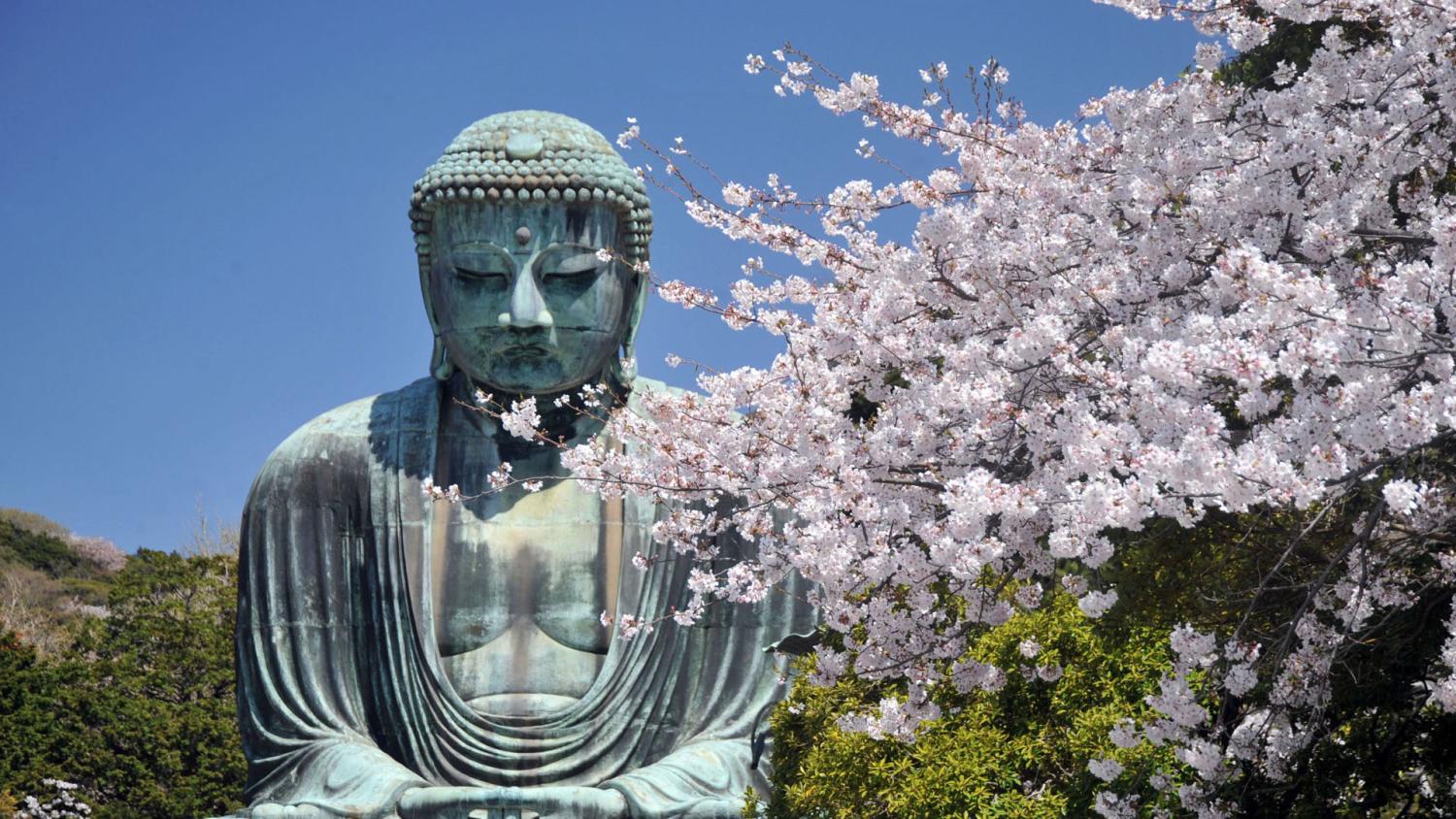 【私人包車】東京10小時市內/富士山/鐮倉/輕井澤/日光客制化行程中文司機包車一日遊(7/10人車)