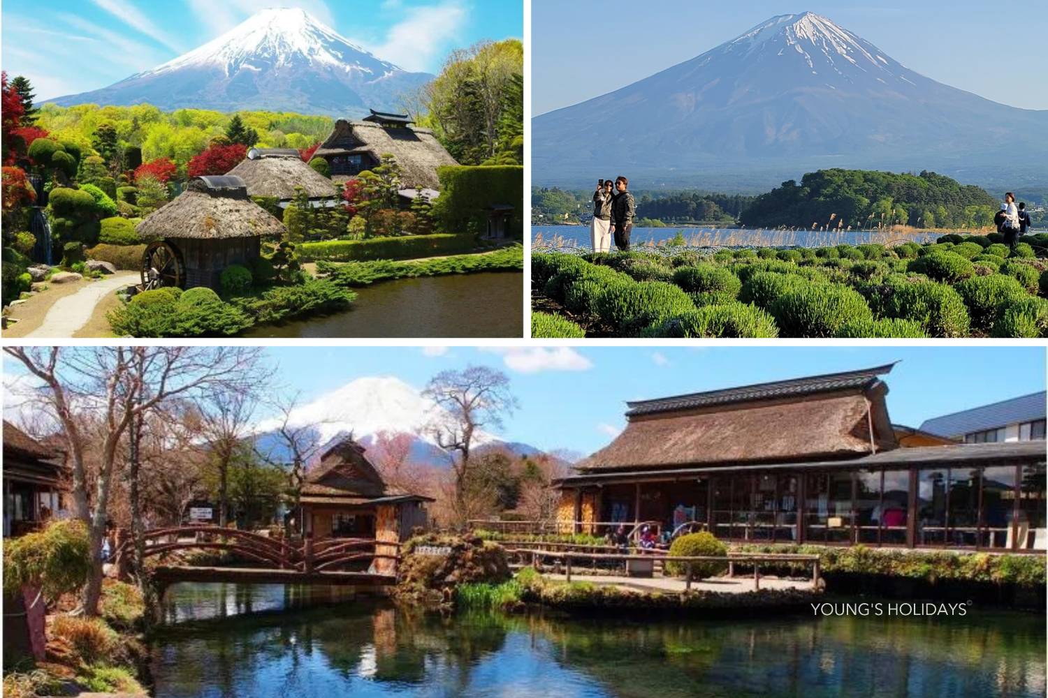 【東京出發】富士山五合目、忍野八海、河口湖石公園、任摘任食時令水果一天遊