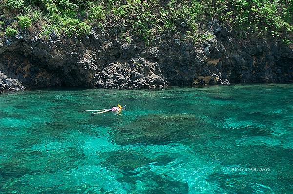 【Anilao】阿尼洛 Buceo Anilao Beach & Dive Resort 5日4夜 菲律賓潛水自由行套票